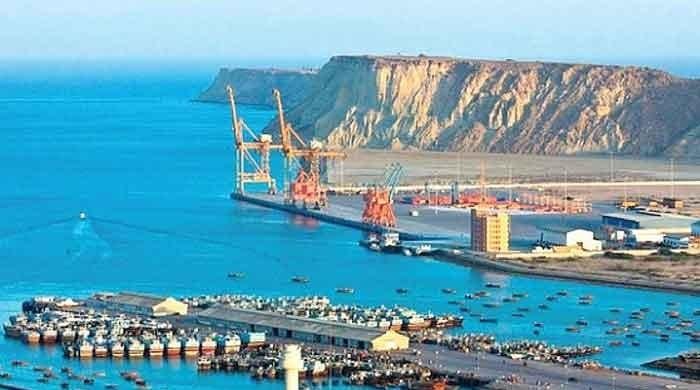 CPEC projects may face delay, disruption as virus crisis worsens