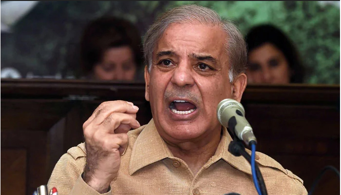 Delay in sugar inquiry report 'admission of guilt' by PM: Shehbaz Sharif