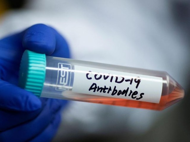Scientists discover antibody that blocks invasion of coronavirus into human cells