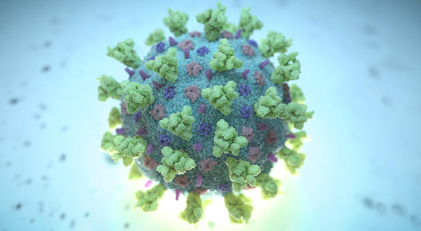 Researchers identify antibody to stop new coronavirus infecting cells