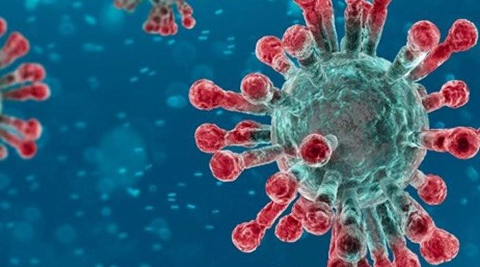 Over a dozen Balochistan districts have not registered a single coronavirus case