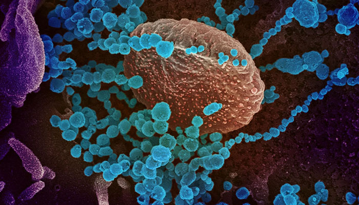 New study finds anti-viral drug trio to shorten coronavirus illness in mild cases