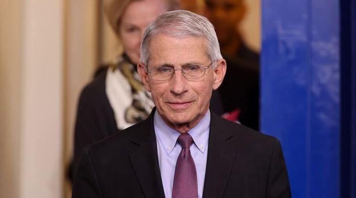 Anthony Fauci's remarks in US Senate leads to drop in oil prices