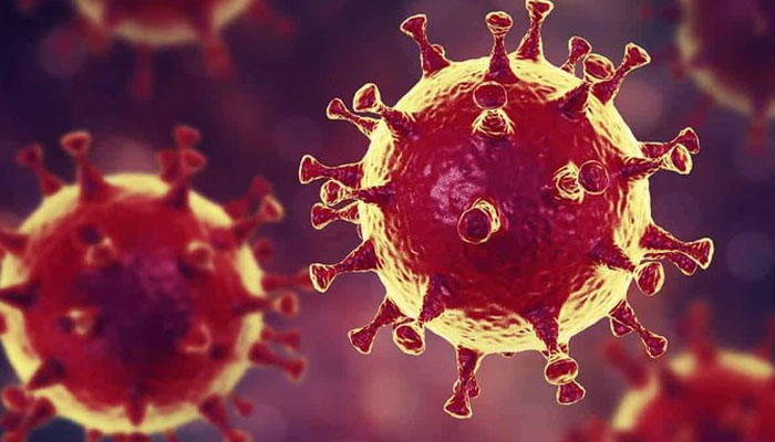 Coronavirus capable of spreading through speech: study