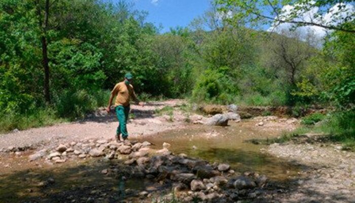 Coronavirus outbreak: Leopards spotted in Islamabad's Margalla Hills 