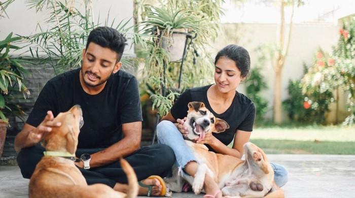 Ali & Noor: Guardian angels of Karachi's stray dogs, even during coronavirus crisis