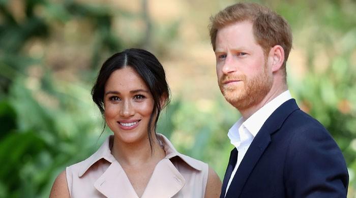 Harry and Meghan Markle’s ‘dynamite’ biography may worsen royal rift: warns expert