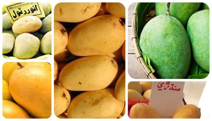 All hail the king: Mangoes are in full season; Here's how to know which is which