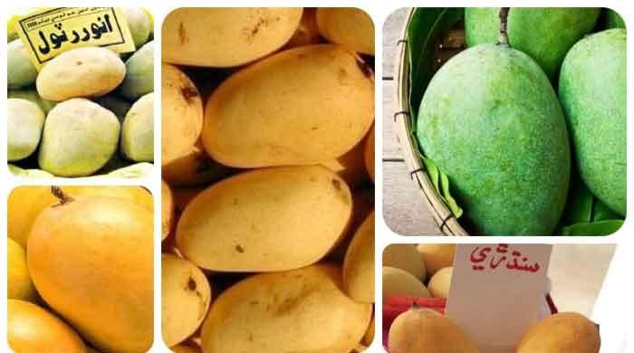 All hail the king: Mangoes are in full season; Here's how to know which ...