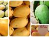 All hail the king: Mangoes are in full season; Here's how to know which is which