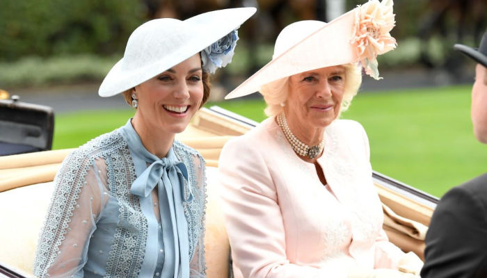 Kate Middleton, Camilla and Sophie check up on the elderly across the UK