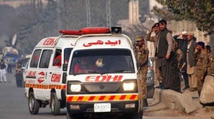 Seven children drown in River Indus near Jhirk