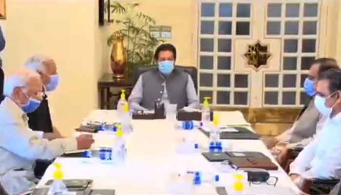 PIA CEO apprises PM Imran on plane crash probe