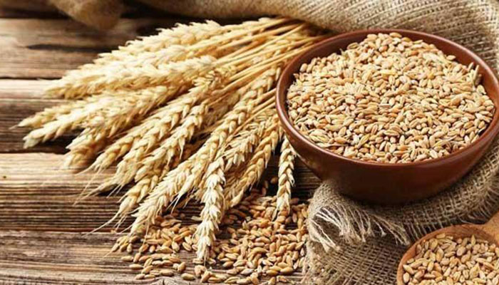 ECC told provinces yet to fulfill wheat procurement target for the year