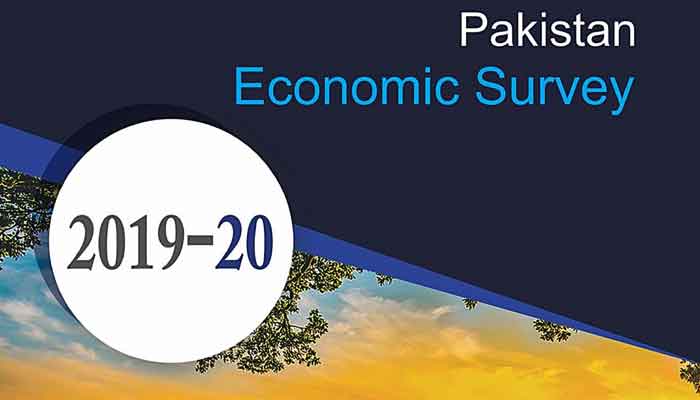 Pakistan Economic Survey 2020