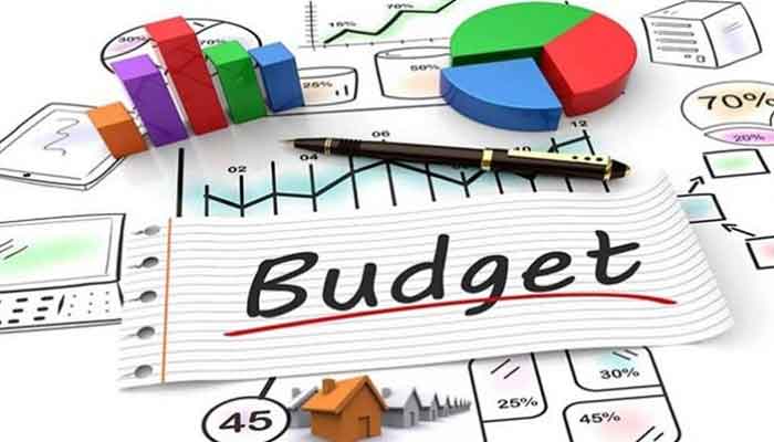 Budget in brief