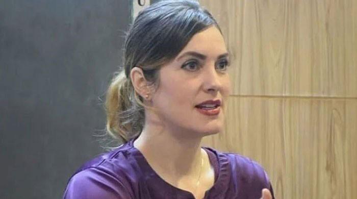 Court reserves judgment on application against Cynthia Ritchie