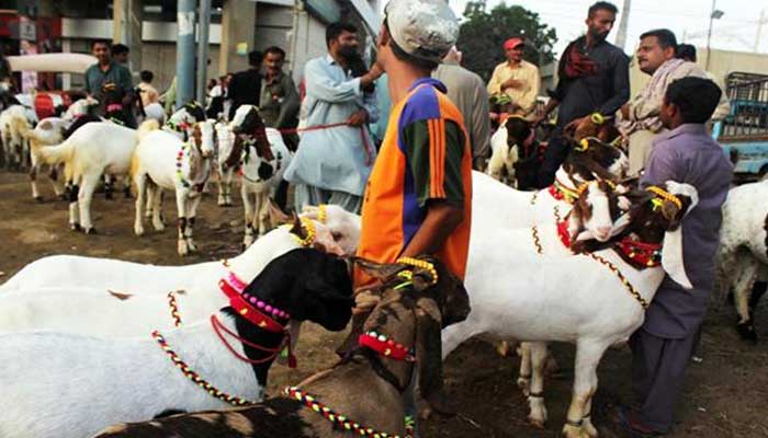 Govt working on policy to contain COVID-19 during Eid-ul-Azha: interior minister