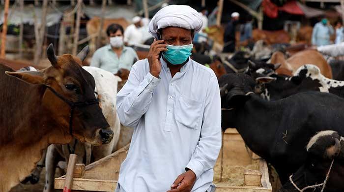Coronavirus updates, July 28: Latest news on the COVID-19 pandemic from Pakistan and around the world