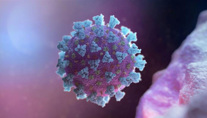 New study suggests antibody levels in recovered coronavirus patients decline quickly