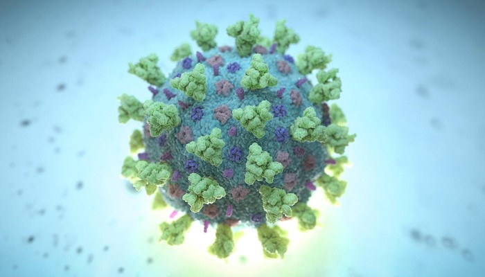 Health expert debunks myth of coronavirus losing potency