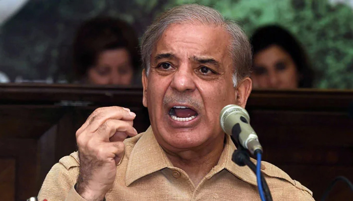 Shehbaz submits interim bail request to LHC after being advised to rest three weeks