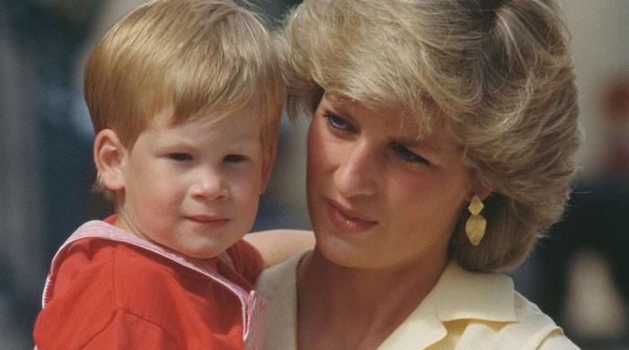 Princess Diana's revelation about Prince Harry reflects his turbulent past year