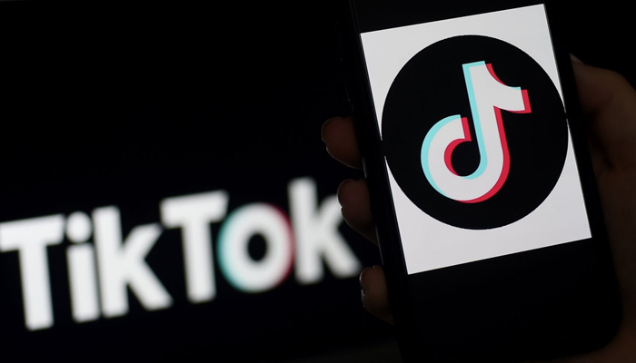 India's ban on TikTok derails ByteDance's expansion plans