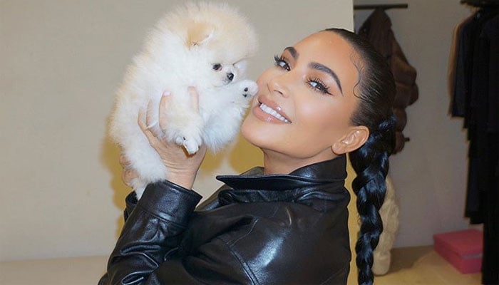 Kim Kardashian shows her love for pet dogs Sushi and Saké