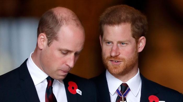 Prince William and Harry agree to divide earnings from Diana fund