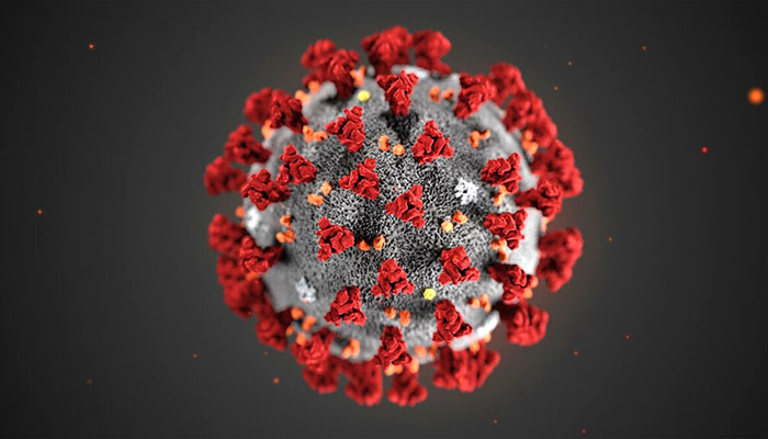 New study warns of brain damage linked to coronavirus 