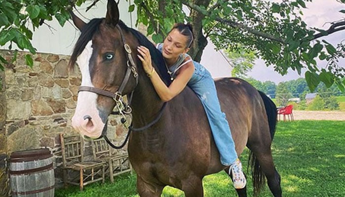 Bella Hadid rides her horse Blue bareback at mother's farmhouse