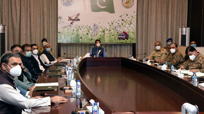 Govt to undertake every possible effort for locust control, vows PM Imran
