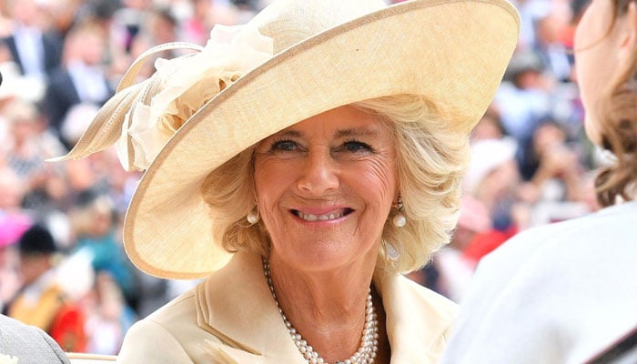 Duchess Camilla becomes most 'relatable' royal after pandemic hits Britain