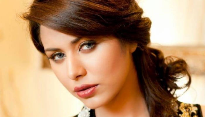 Ayyan Ali to end her five-year hiatus after money laundering case with new tracks