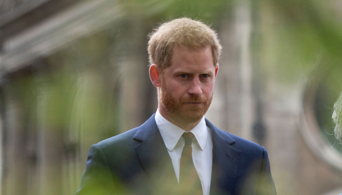 'Prince Harry can't even get a job at McDonald's’: expert’s claims blasted by duke