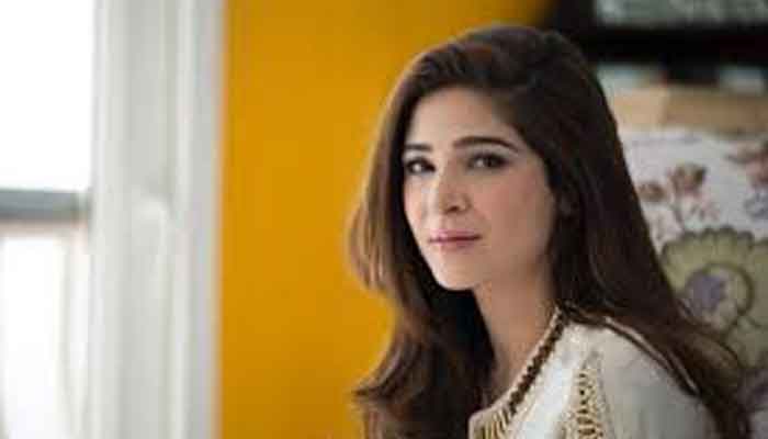 Ayesha Omar shuts down troll who asked her to drown herself in sea 