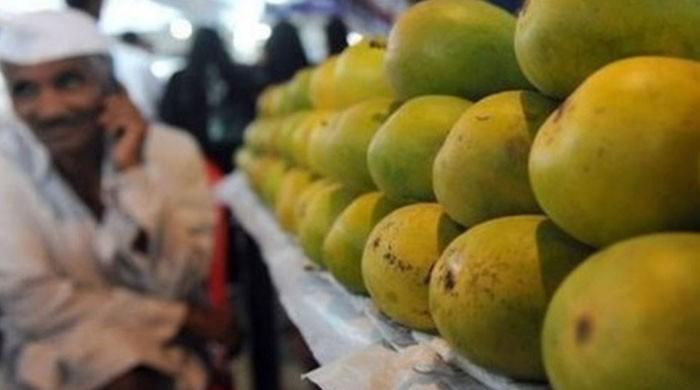 With coronavirus keeping people at home, mangoes are going digital