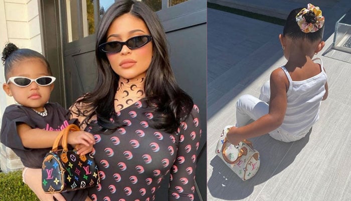 Kylie Jenner Shows Off Expensive Designer Purse on Instagram