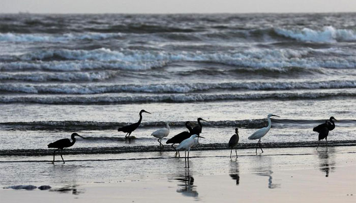 Karachi's Sea View to be modeled after foreign beaches