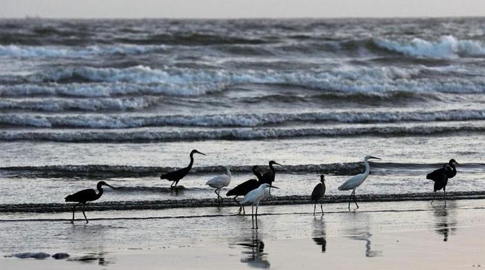 Karachi's Sea View to be modeled after foreign beaches