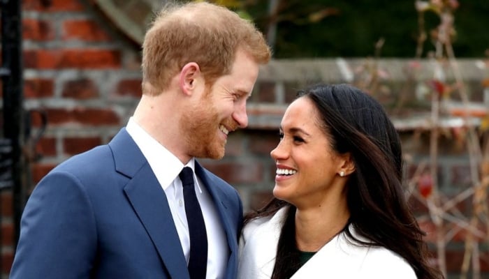 Prince Harry, Meghan were already engaged months ahead of official date
