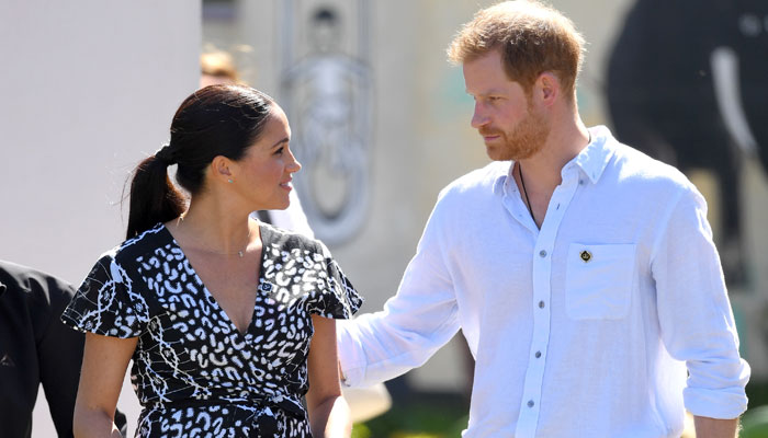 Prince Harry, Meghan were already engaged months ahead of official date