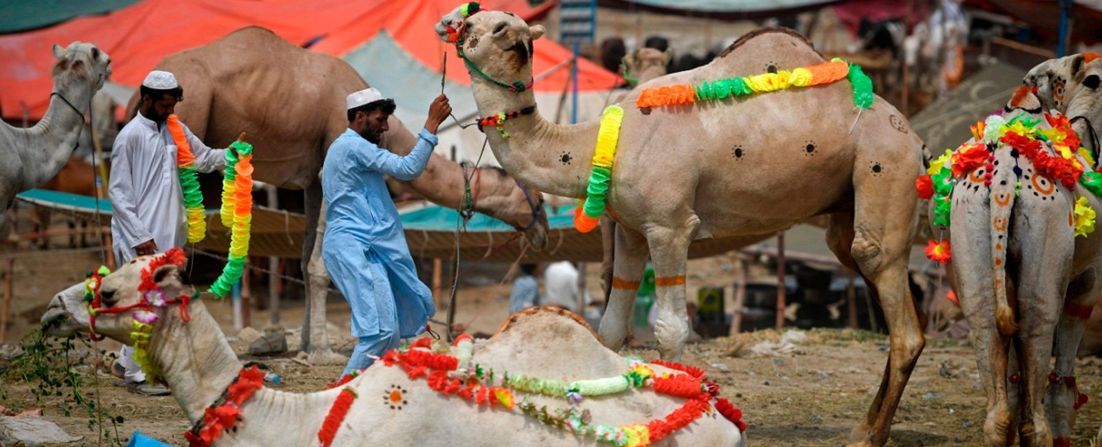 COVID-19 and 'Bakra Eid': Eid ul Adha brings new trends to Karachi