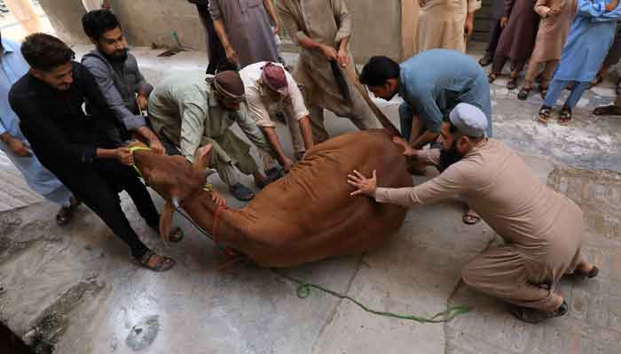 Eid-ul-Adha festivities in full swing on second day amid COVID-19 pandemic