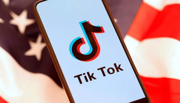 TikTok parent working flat out for 'best outcome': report
