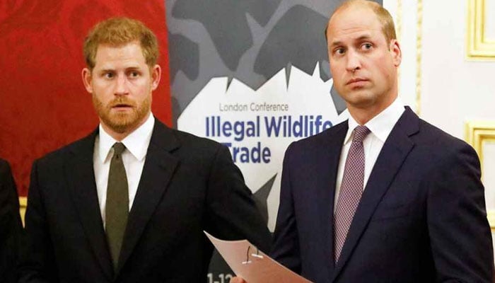 Prince William, Prince Harry are lost amid a slew of ‘difficult conversations’