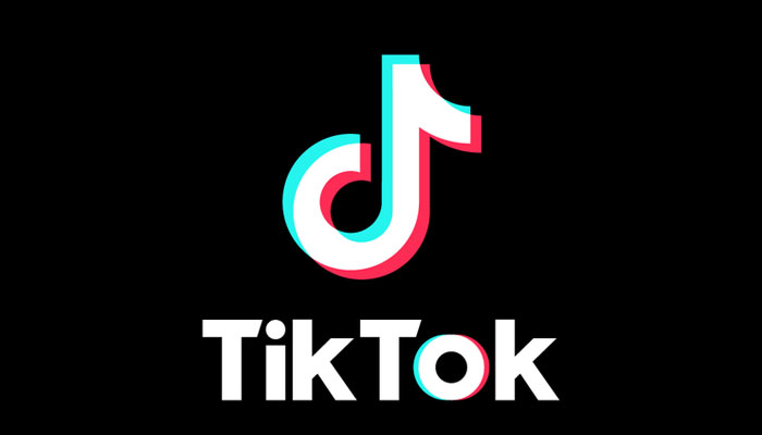Twenty TikTok stars post open letter to Trump against banning the app