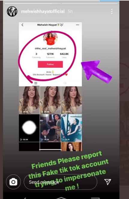 Pakistani Celebrities fake TikTok accounts.