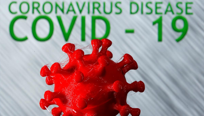 Scientists investigate immune mechanism in body to help efforts to curb coronavirus